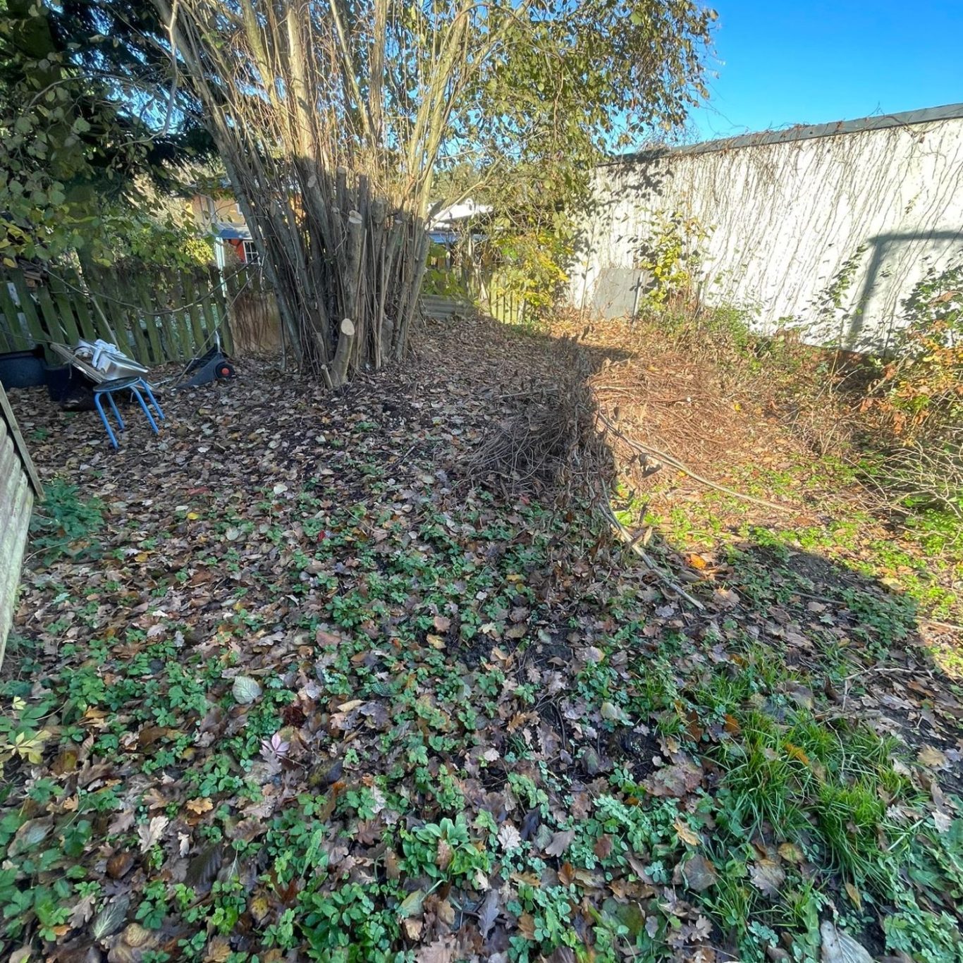 Mitarbeiter bewässert Pflanzen in Berlin und Brandenburg