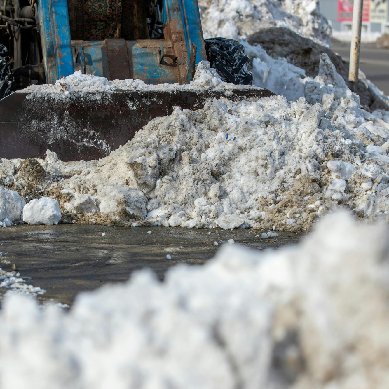 Bodenschutz und Staubschutztüren von fix und klar bei Renovierungsarbeiten in Berlin Zehlendorf
