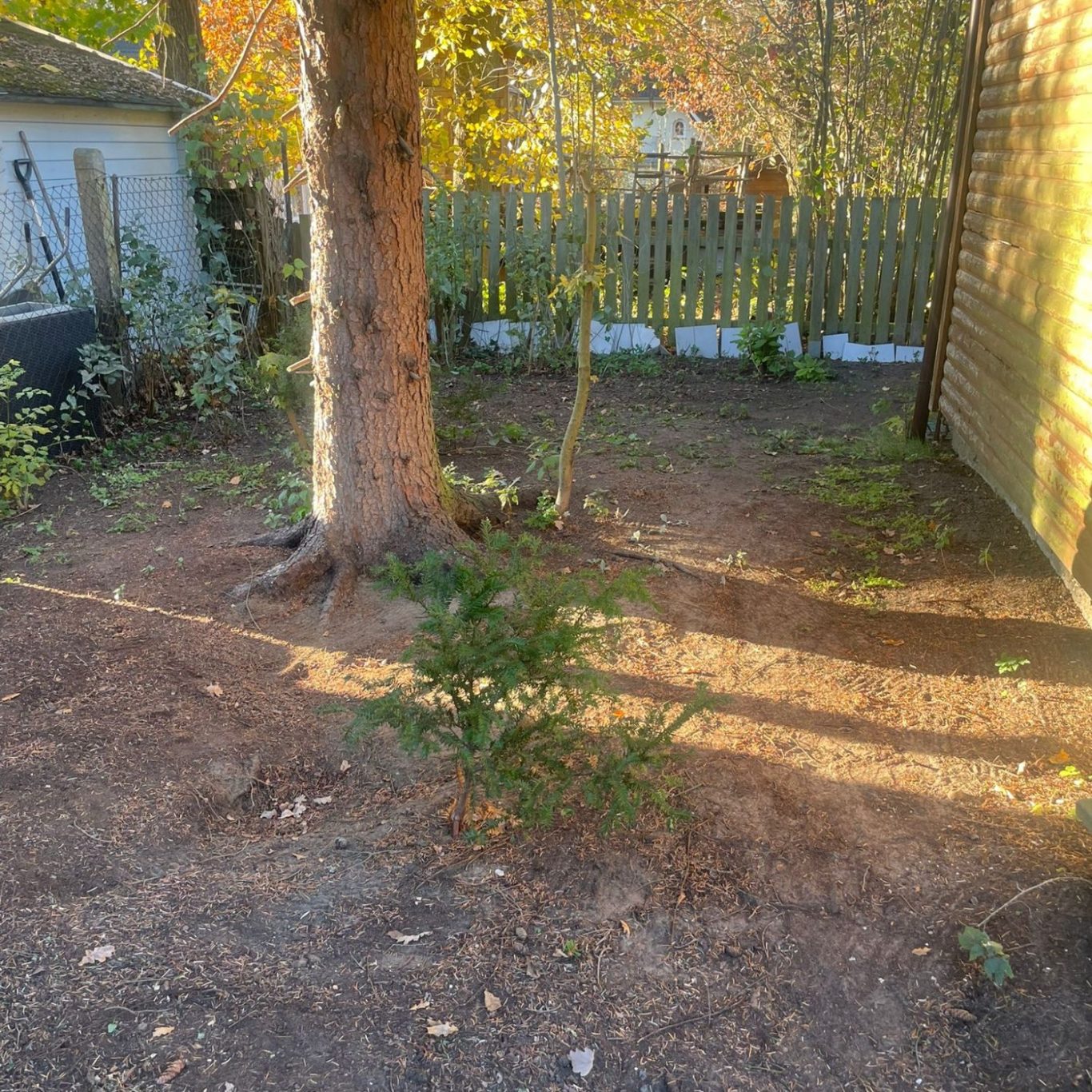 Fix&Klar Team pflegt Garten und Grünflächen in Berlin und Brandenburg