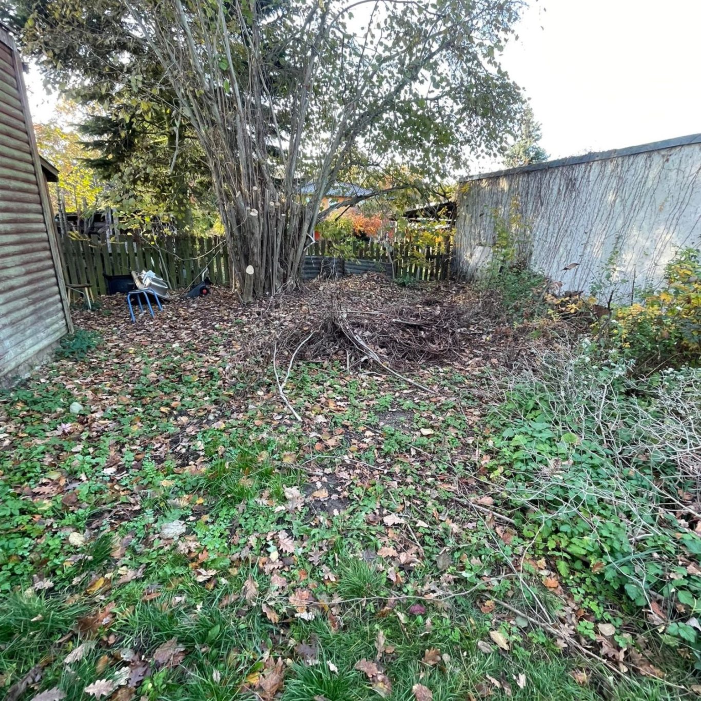 Fix&Klar Team sorgt für gepflegte Beete in Berlin und Brandenburg