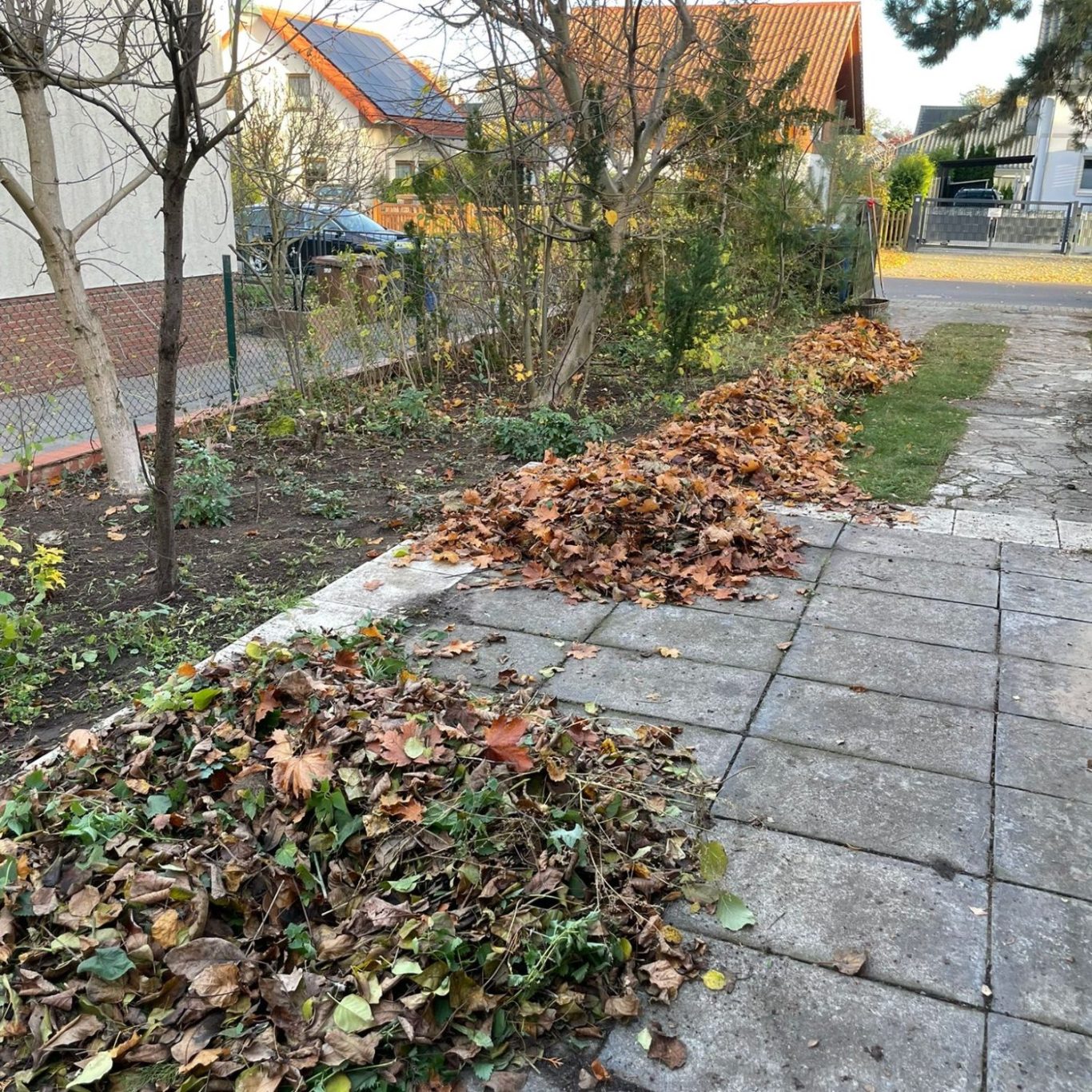 Fix&Klar Team pflegt Garten und Grünflächen in Berlin und Brandenburg